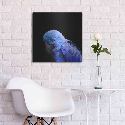 Luxe Metal Art 'Blue Quill' by Epic Portfolio Metal Wall Art,24x24