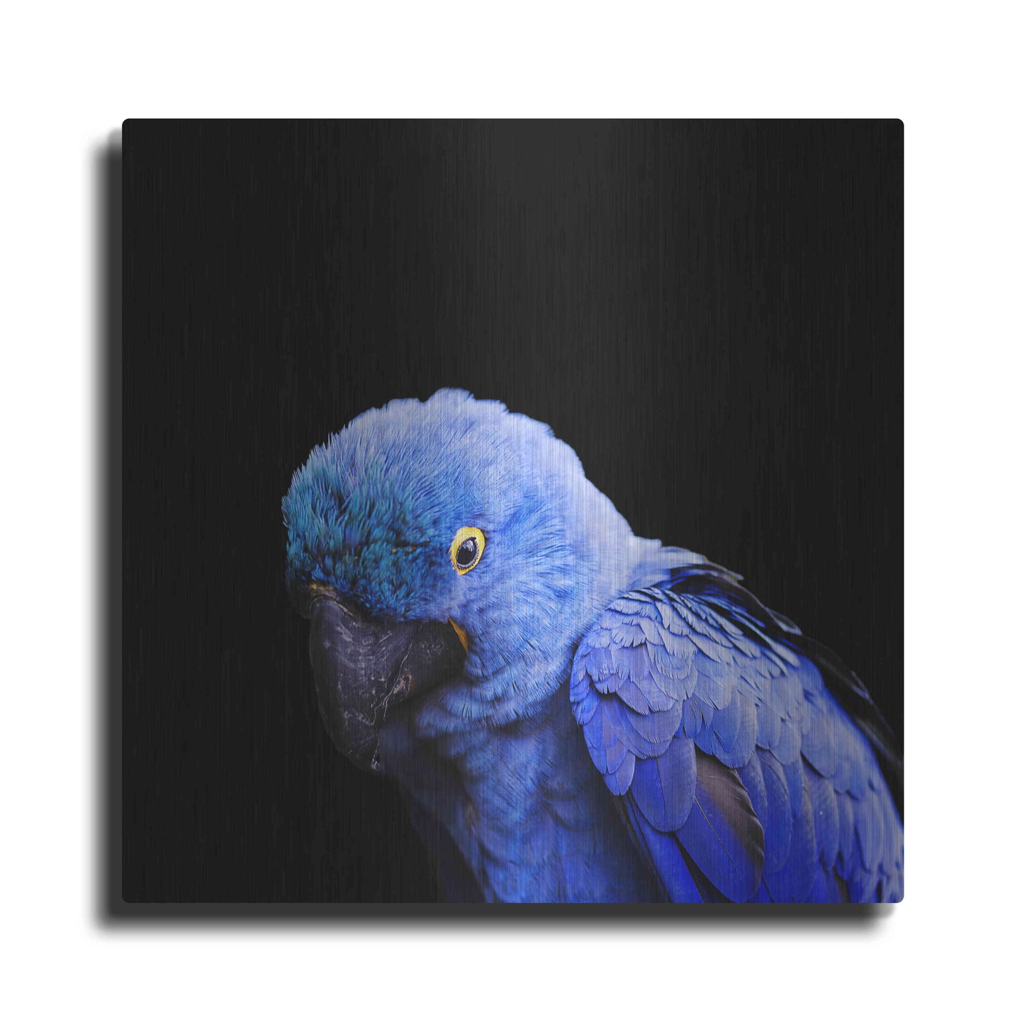 Luxe Metal Art 'Blue Quill' by Epic Portfolio Metal Wall Art