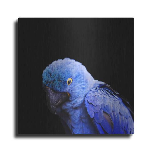 Luxe Metal Art 'Blue Quill' by Epic Portfolio Metal Wall Art