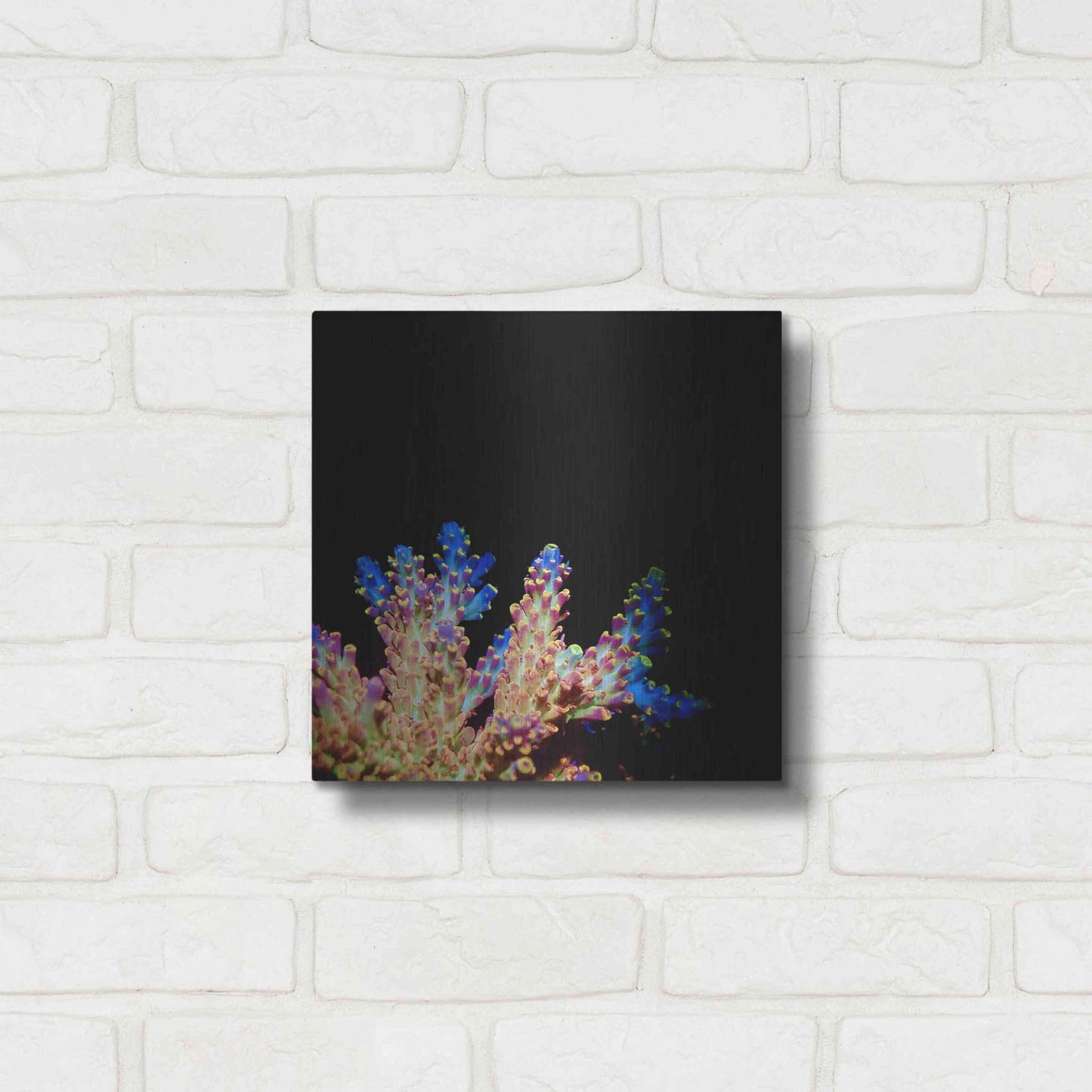 Luxe Metal Art 'Coral Reef' by Epic Portfolio Metal Wall Art,12x12