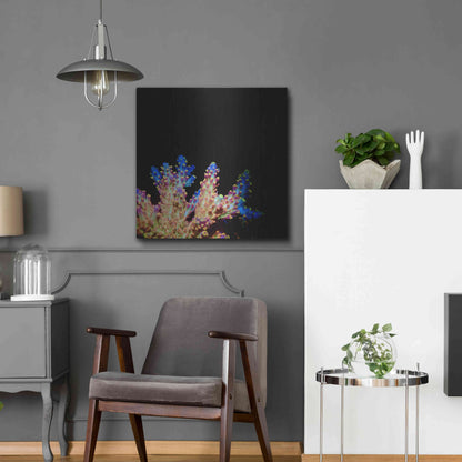 Luxe Metal Art 'Coral Reef' by Epic Portfolio Metal Wall Art,24x24