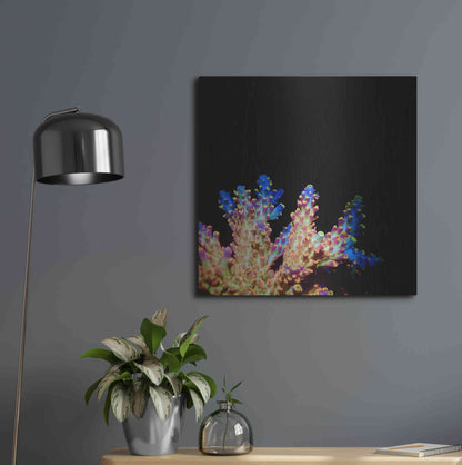 Luxe Metal Art 'Coral Reef' by Epic Portfolio Metal Wall Art,24x24