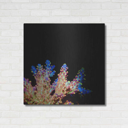 Luxe Metal Art 'Coral Reef' by Epic Portfolio Metal Wall Art,36x36