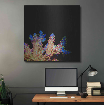 Luxe Metal Art 'Coral Reef' by Epic Portfolio Metal Wall Art,36x36