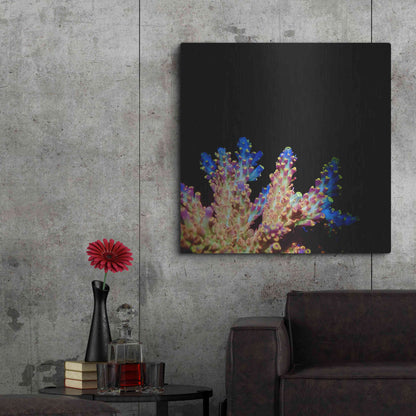 Luxe Metal Art 'Coral Reef' by Epic Portfolio Metal Wall Art,36x36