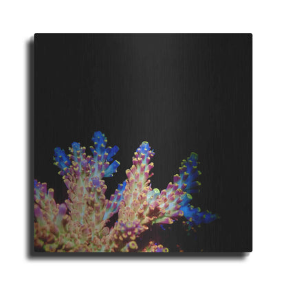 Luxe Metal Art 'Coral Reef' by Epic Portfolio Metal Wall Art