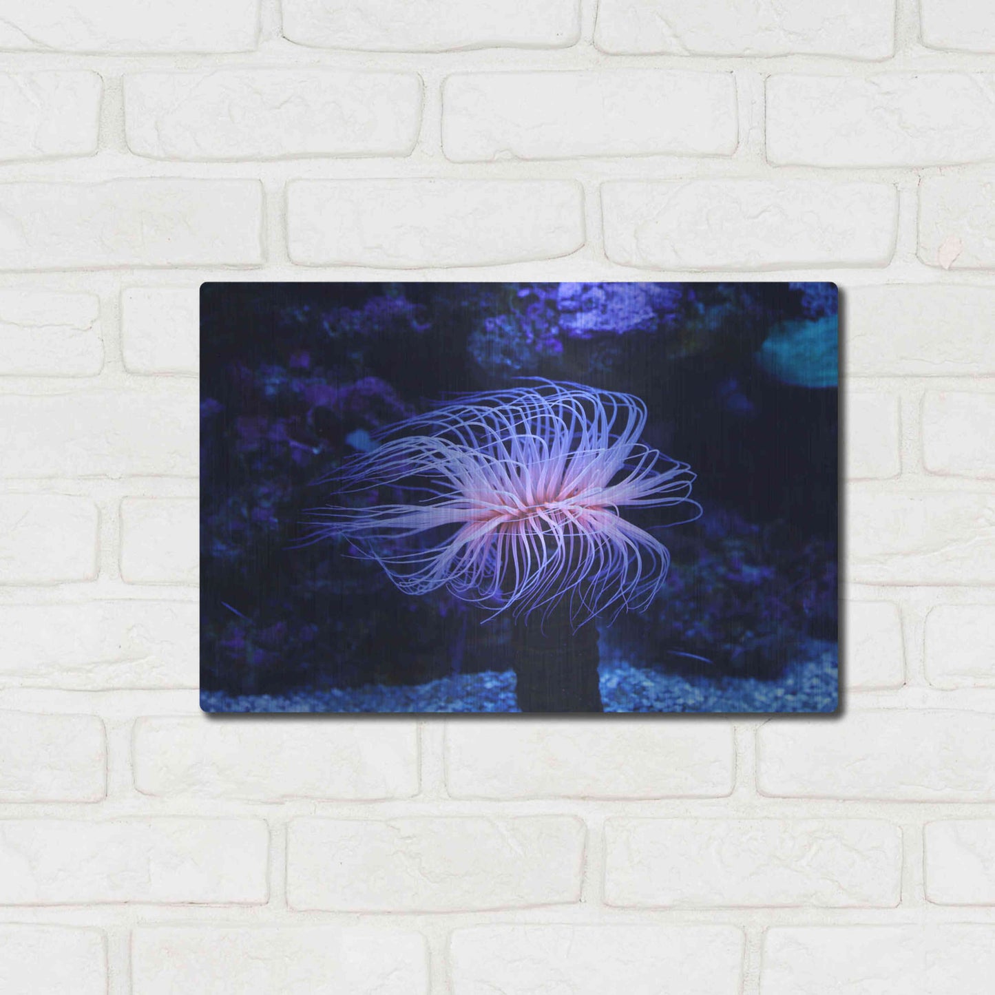 Luxe Metal Art 'Deep Sea Tango ' by Epic Portfolio Metal Wall Art,16x12