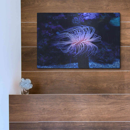 Luxe Metal Art 'Deep Sea Tango ' by Epic Portfolio Metal Wall Art,16x12