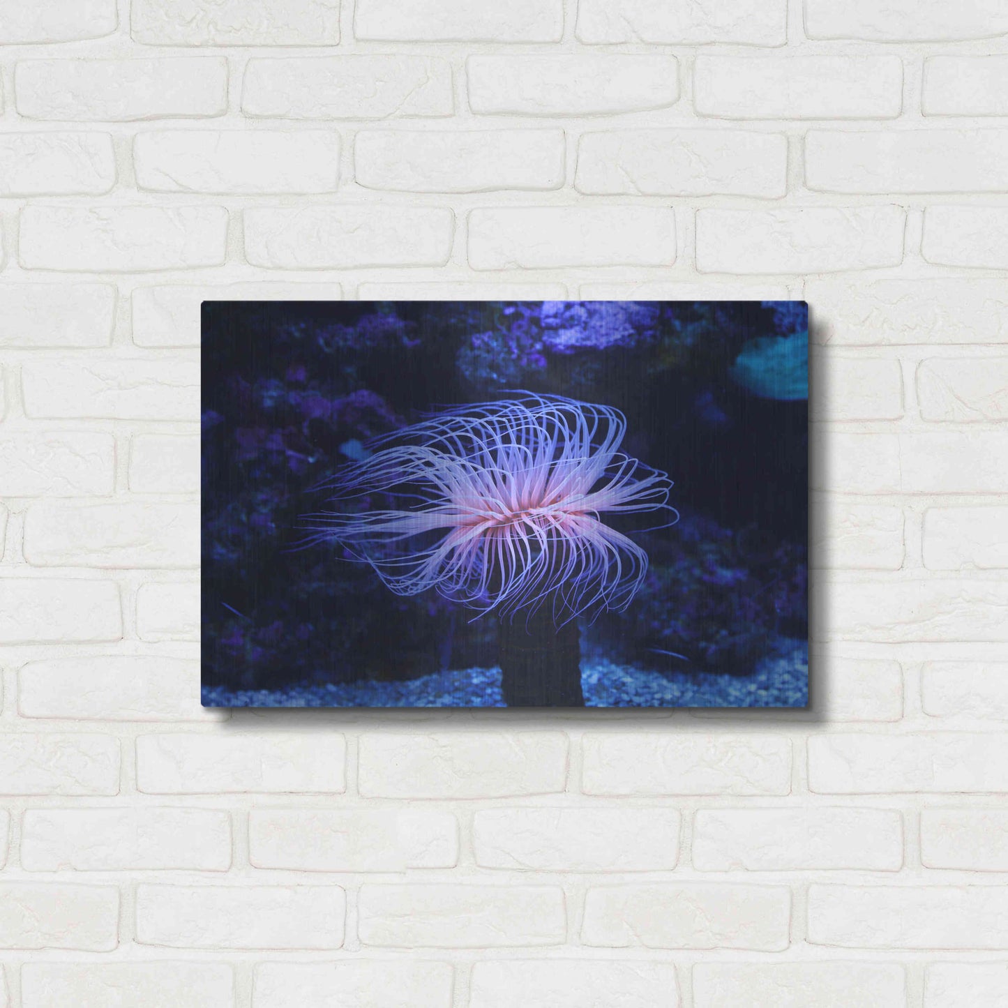 Luxe Metal Art 'Deep Sea Tango ' by Epic Portfolio Metal Wall Art,24x16