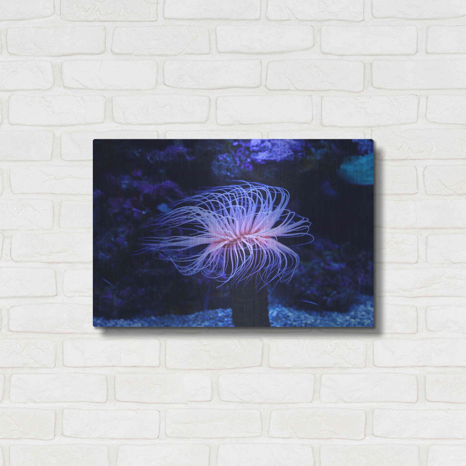 Luxe Metal Art 'Deep Sea Tango ' by Epic Portfolio Metal Wall Art,24x16