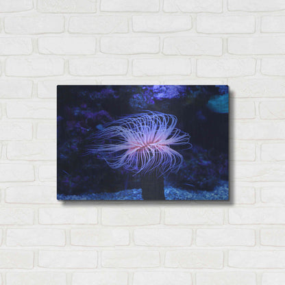 Luxe Metal Art 'Deep Sea Tango ' by Epic Portfolio Metal Wall Art,24x16