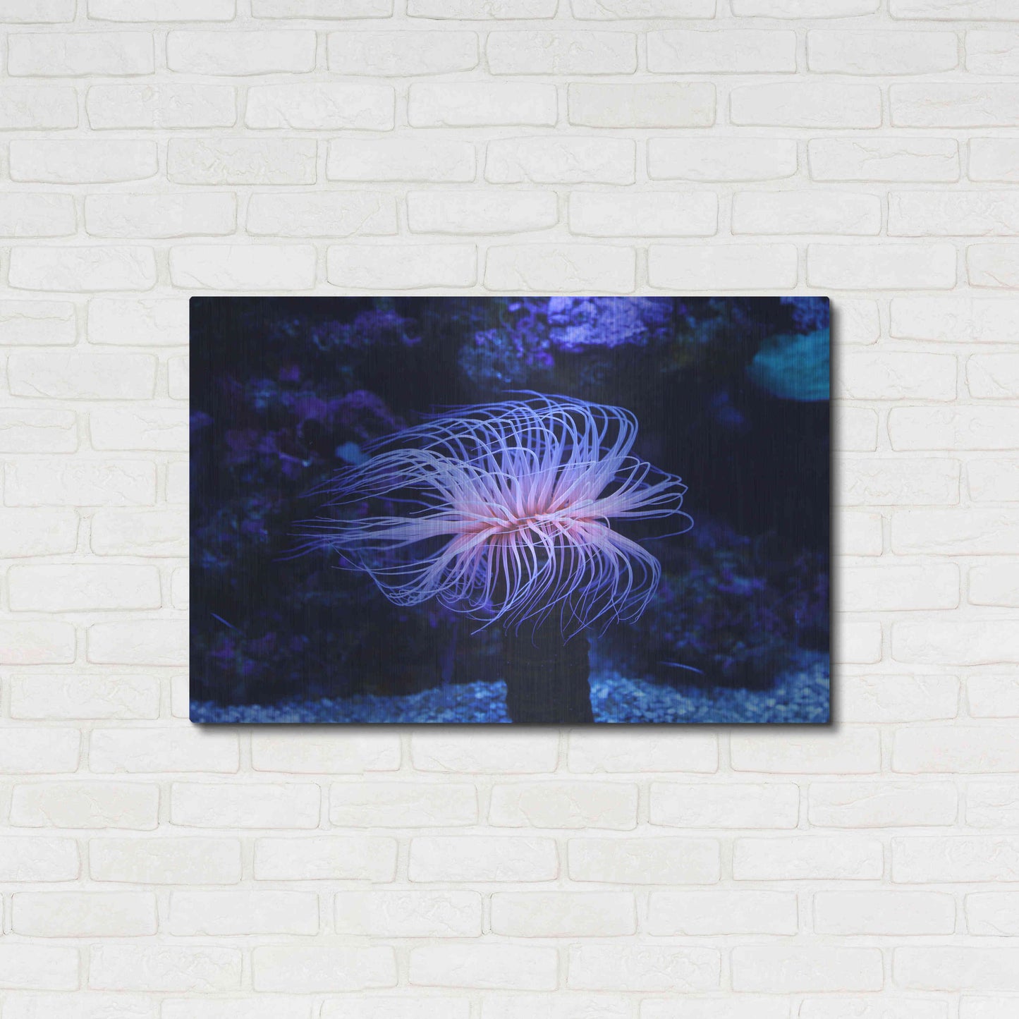 Luxe Metal Art 'Deep Sea Tango ' by Epic Portfolio Metal Wall Art,36x24