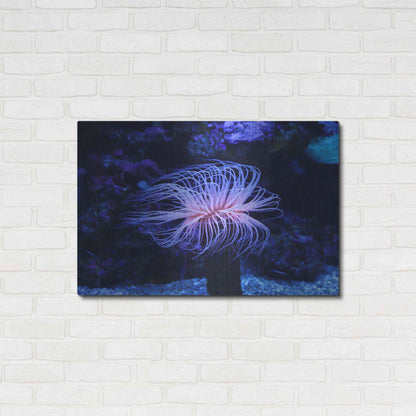 Luxe Metal Art 'Deep Sea Tango ' by Epic Portfolio Metal Wall Art,36x24