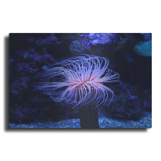 Luxe Metal Art 'Deep Sea Tango ' by Epic Portfolio Metal Wall Art