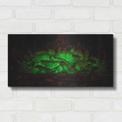 Luxe Metal Art 'Emerald Boom' by Epic Portfolio Metal Wall Art,24x12