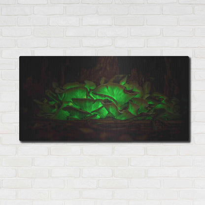 Luxe Metal Art 'Emerald Boom' by Epic Portfolio Metal Wall Art,48x24