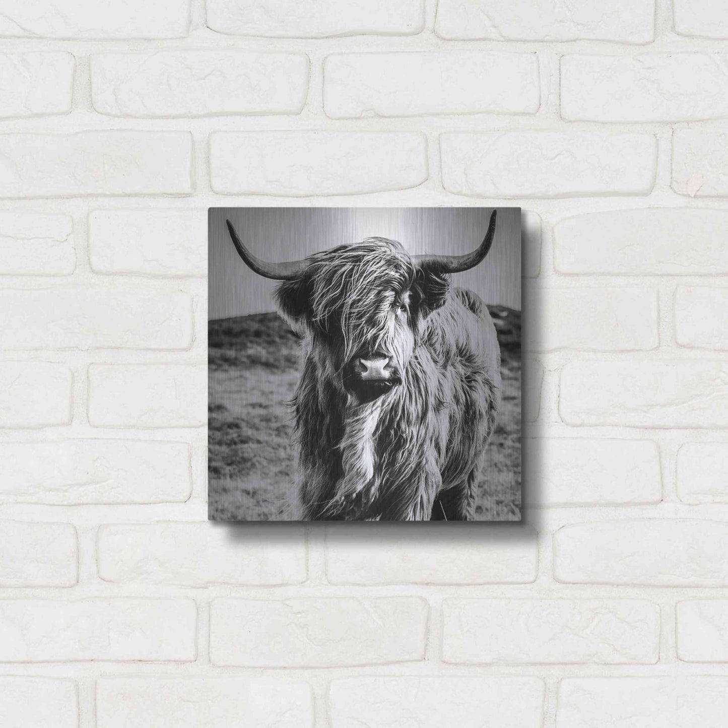 Luxe Metal Art 'Fluffy Cow' by Epic Portfolio Metal Wall Art,12x12