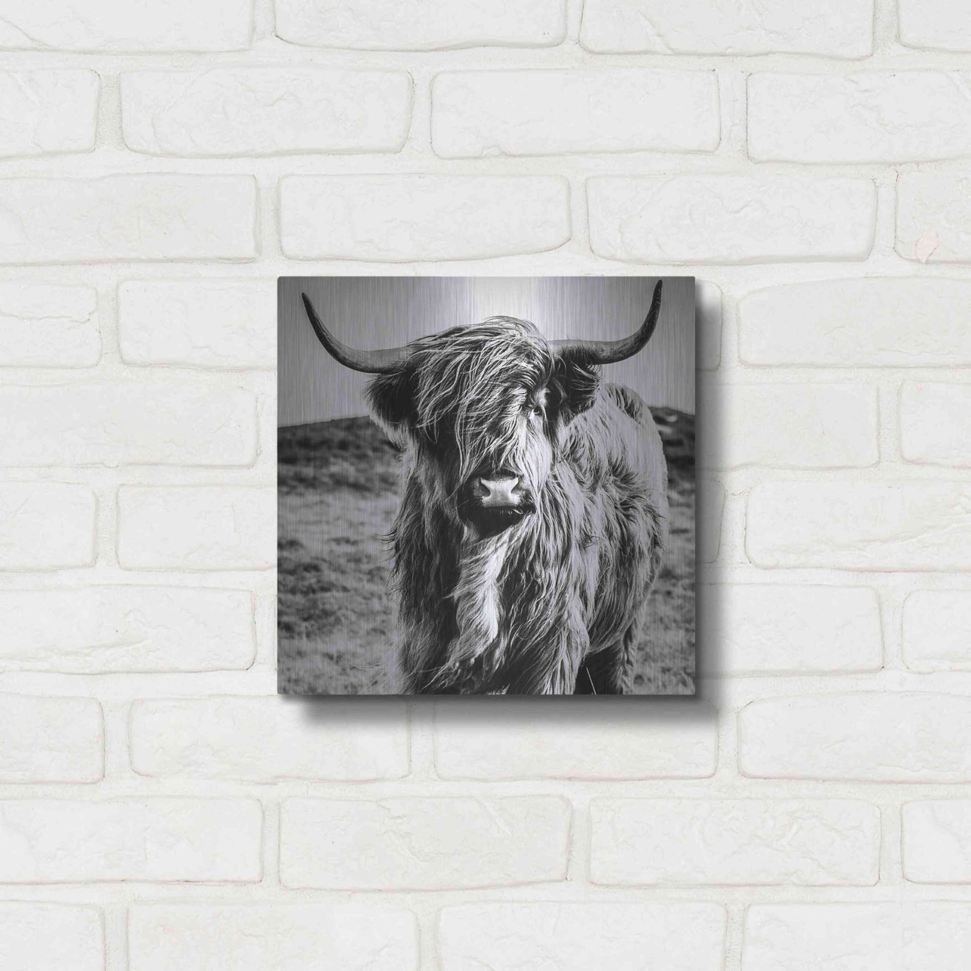 Luxe Metal Art 'Fluffy Cow' by Epic Portfolio Metal Wall Art,12x12