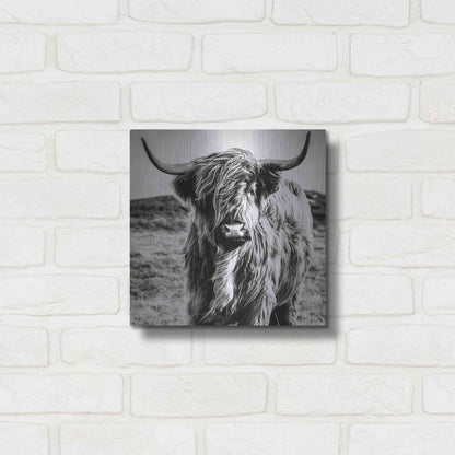 Luxe Metal Art 'Fluffy Cow' by Epic Portfolio Metal Wall Art,12x12