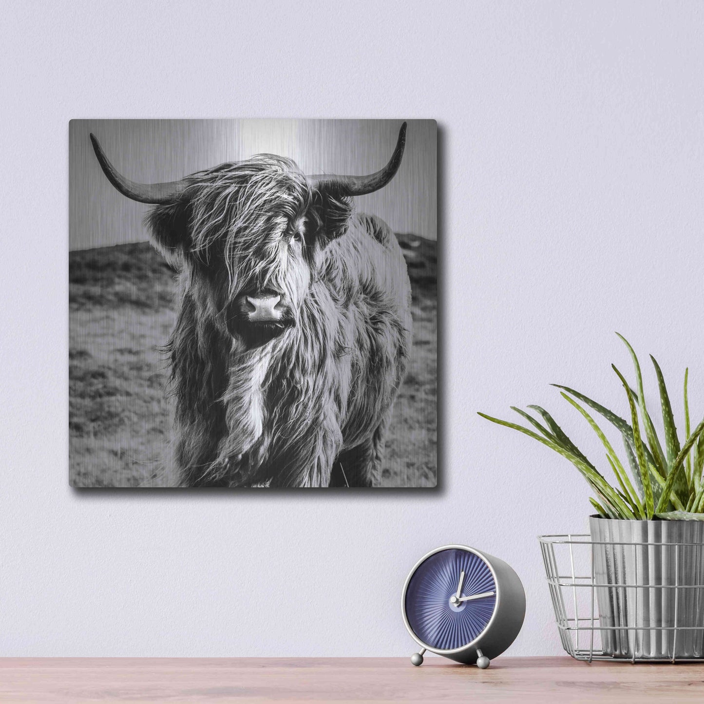 Luxe Metal Art 'Fluffy Cow' by Epic Portfolio Metal Wall Art,12x12