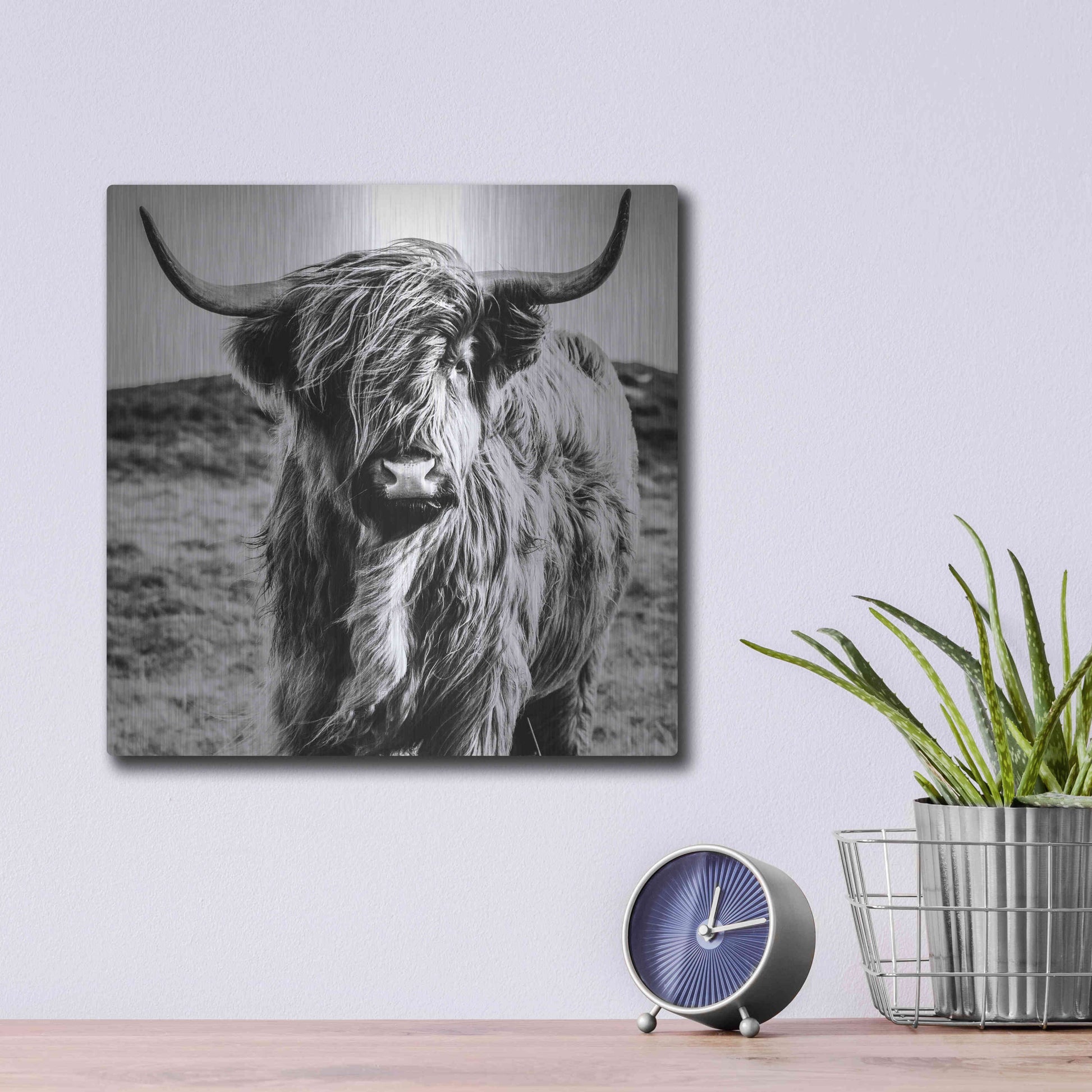 Luxe Metal Art 'Fluffy Cow' by Epic Portfolio Metal Wall Art,12x12