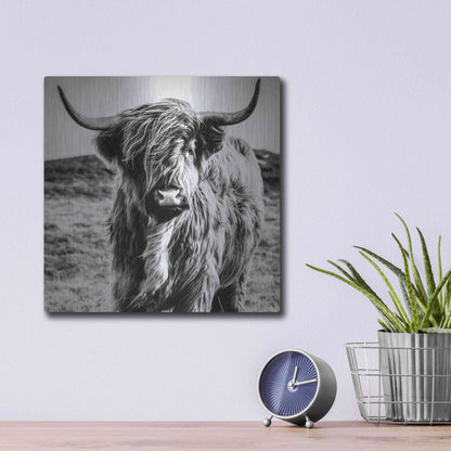 Luxe Metal Art 'Fluffy Cow' by Epic Portfolio Metal Wall Art,12x12