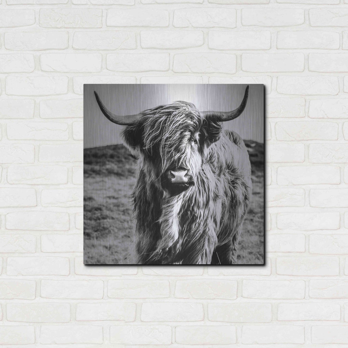 Luxe Metal Art 'Fluffy Cow' by Epic Portfolio Metal Wall Art,24x24