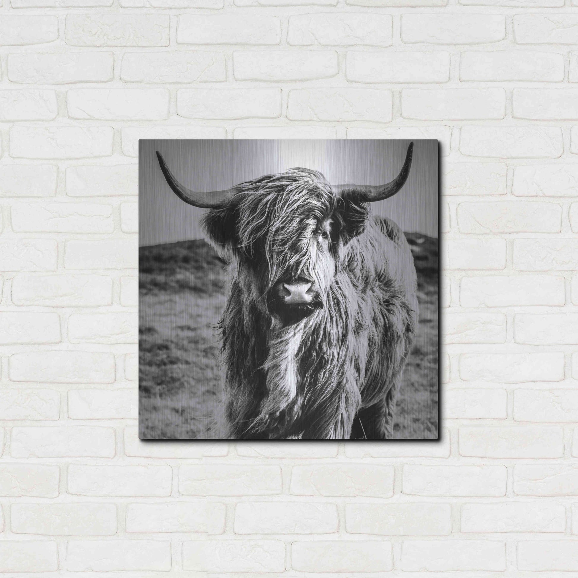 Luxe Metal Art 'Fluffy Cow' by Epic Portfolio Metal Wall Art,24x24