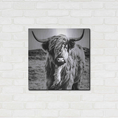Luxe Metal Art 'Fluffy Cow' by Epic Portfolio Metal Wall Art,24x24