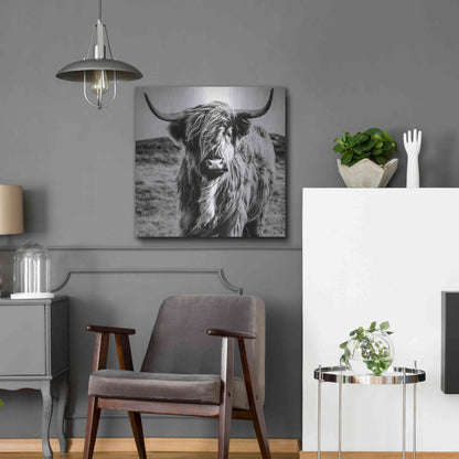 Luxe Metal Art 'Fluffy Cow' by Epic Portfolio Metal Wall Art,24x24