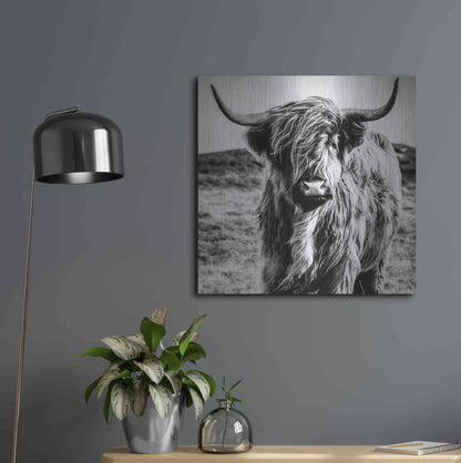 Luxe Metal Art 'Fluffy Cow' by Epic Portfolio Metal Wall Art,24x24