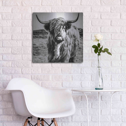 Luxe Metal Art 'Fluffy Cow' by Epic Portfolio Metal Wall Art,24x24