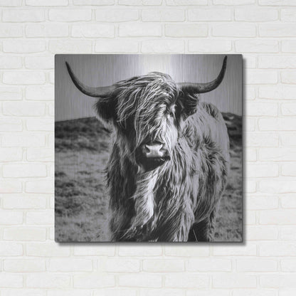 Luxe Metal Art 'Fluffy Cow' by Epic Portfolio Metal Wall Art,36x36
