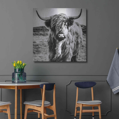Luxe Metal Art 'Fluffy Cow' by Epic Portfolio Metal Wall Art,36x36