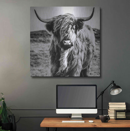 Luxe Metal Art 'Fluffy Cow' by Epic Portfolio Metal Wall Art,36x36