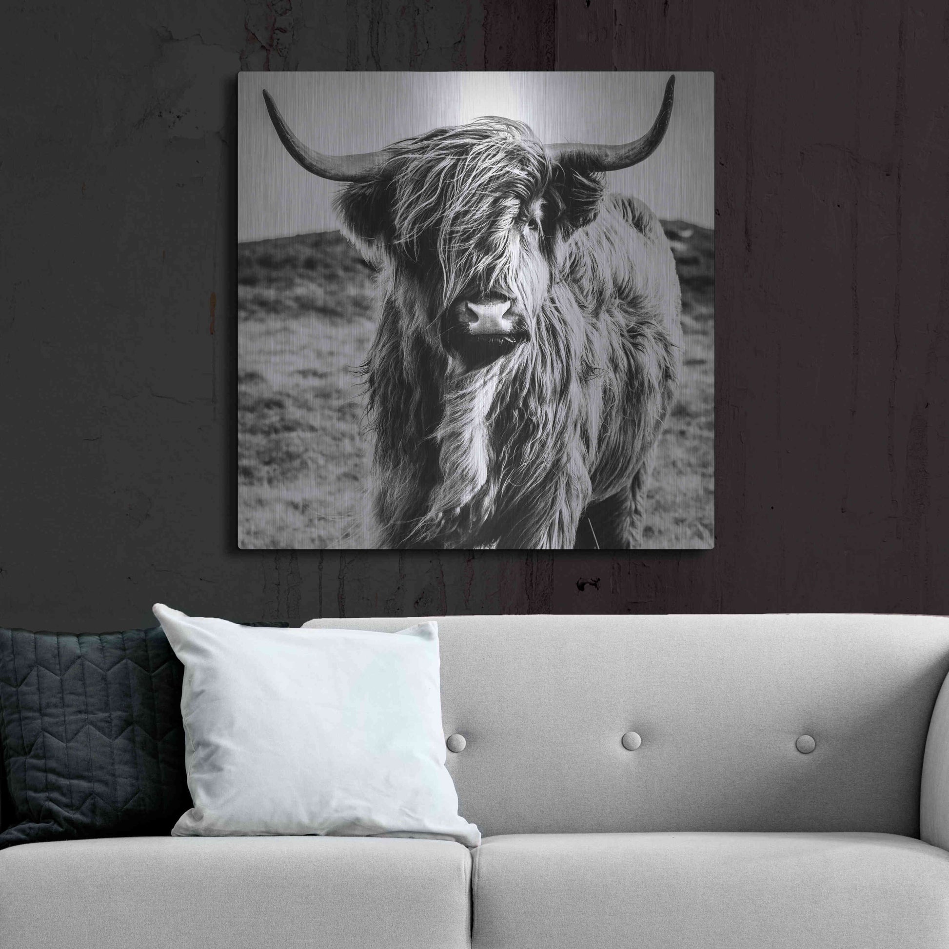 Luxe Metal Art 'Fluffy Cow' by Epic Portfolio Metal Wall Art,36x36