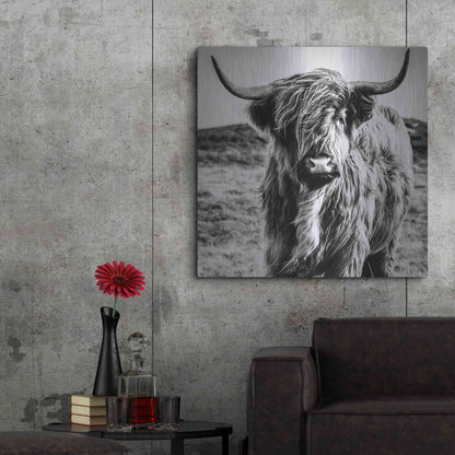 Luxe Metal Art 'Fluffy Cow' by Epic Portfolio Metal Wall Art,36x36
