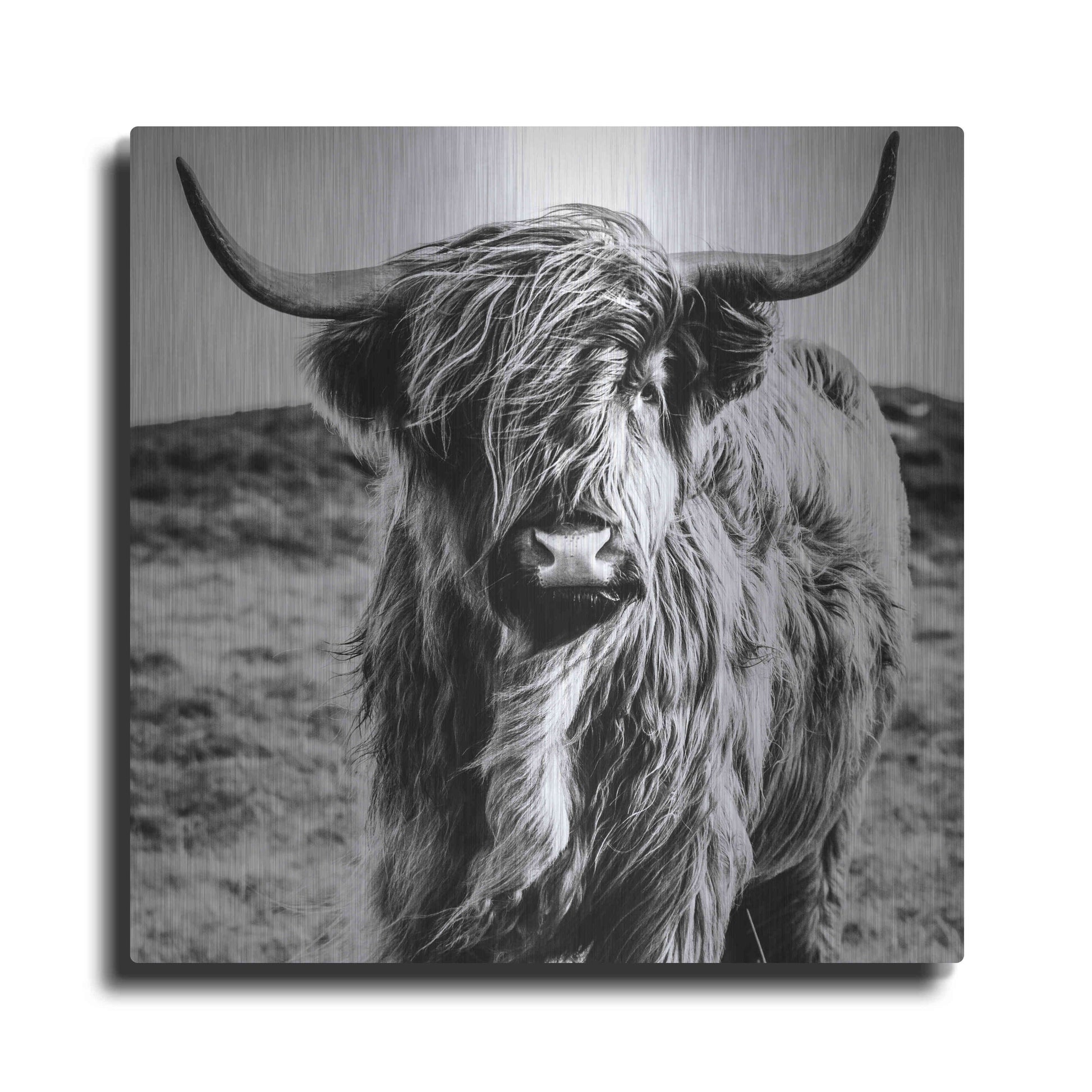 Luxe Metal Art 'Fluffy Cow' by Epic Portfolio Metal Wall Art