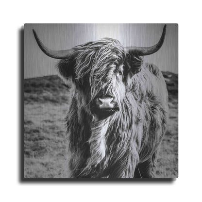 Luxe Metal Art 'Fluffy Cow' by Epic Portfolio Metal Wall Art