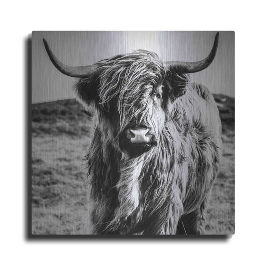 Luxe Metal Art 'Fluffy Cow' by Epic Portfolio Metal Wall Art