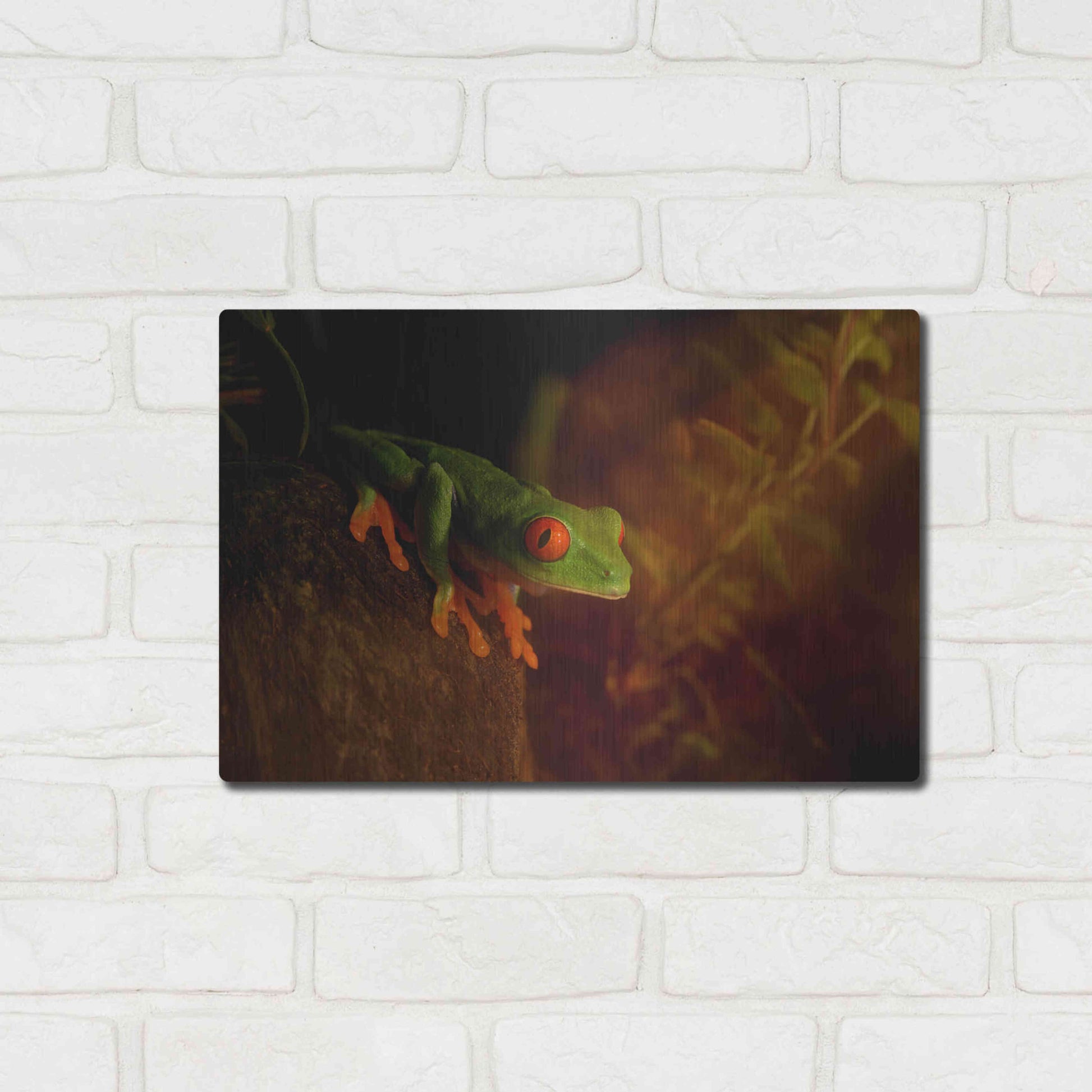Luxe Metal Art 'Froggy' by Epic Portfolio Metal Wall Art,16x12
