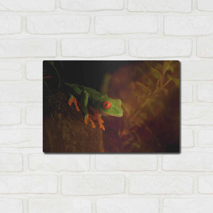 Luxe Metal Art 'Froggy' by Epic Portfolio Metal Wall Art,16x12