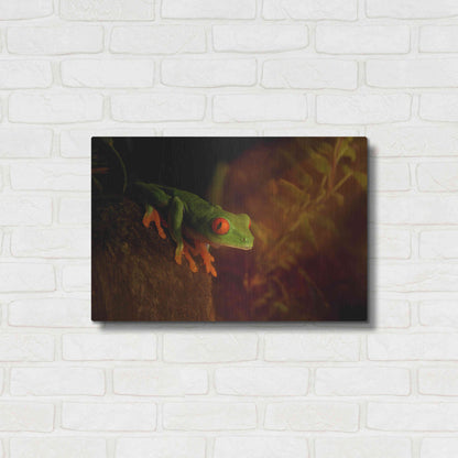 Luxe Metal Art 'Froggy' by Epic Portfolio Metal Wall Art,24x16
