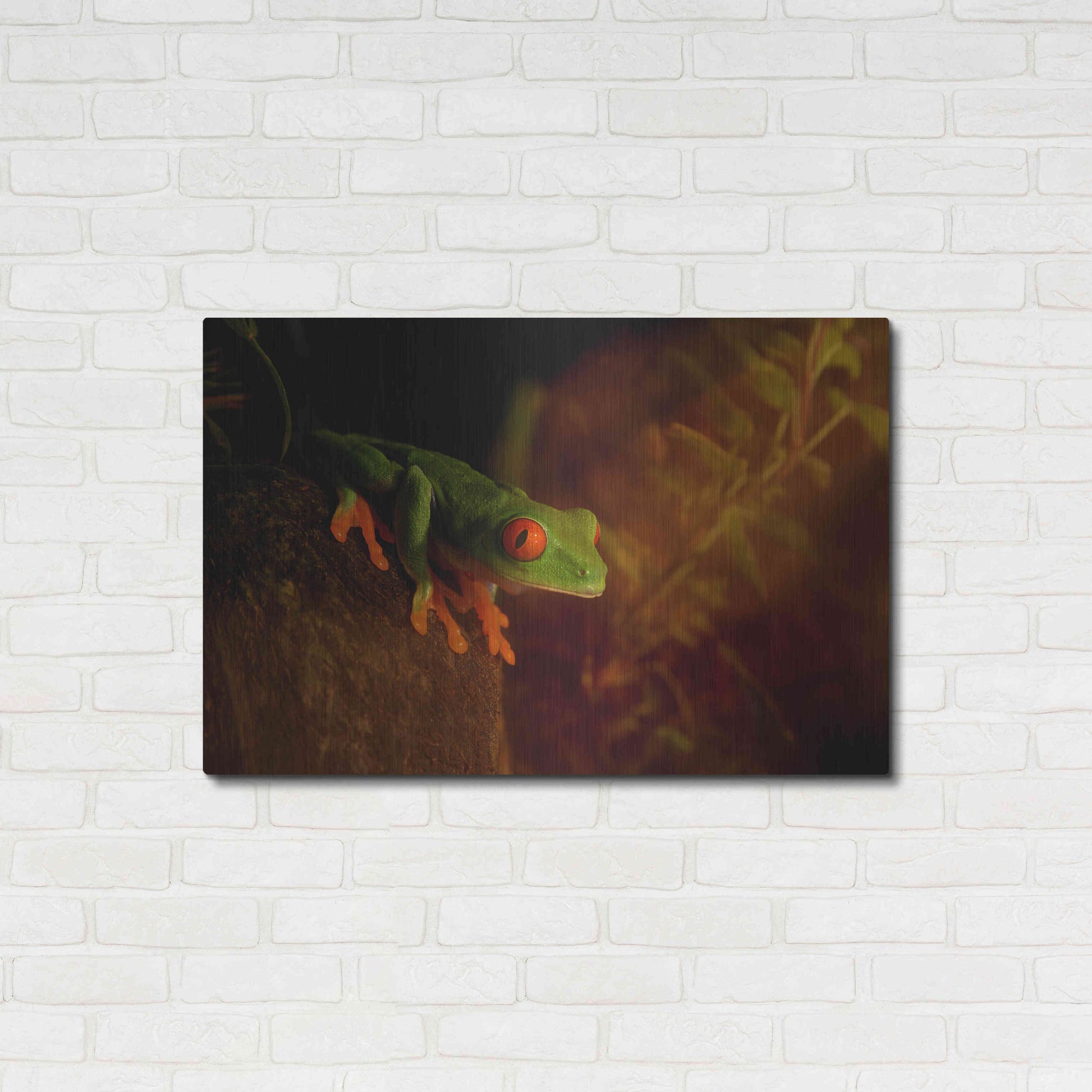 Luxe Metal Art 'Froggy' by Epic Portfolio Metal Wall Art,36x24