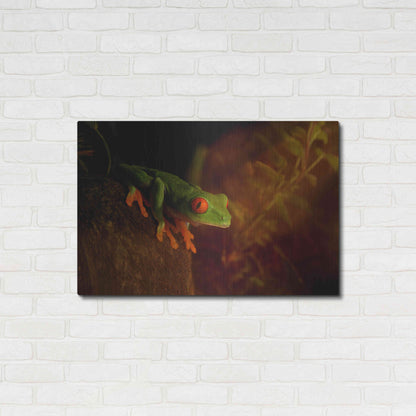 Luxe Metal Art 'Froggy' by Epic Portfolio Metal Wall Art,36x24