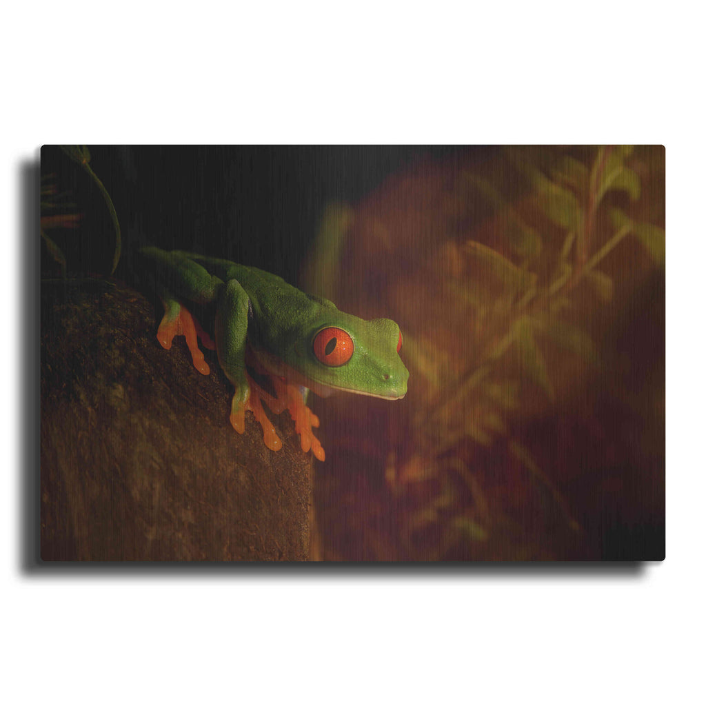 Luxe Metal Art 'Froggy' by Epic Portfolio Metal Wall Art