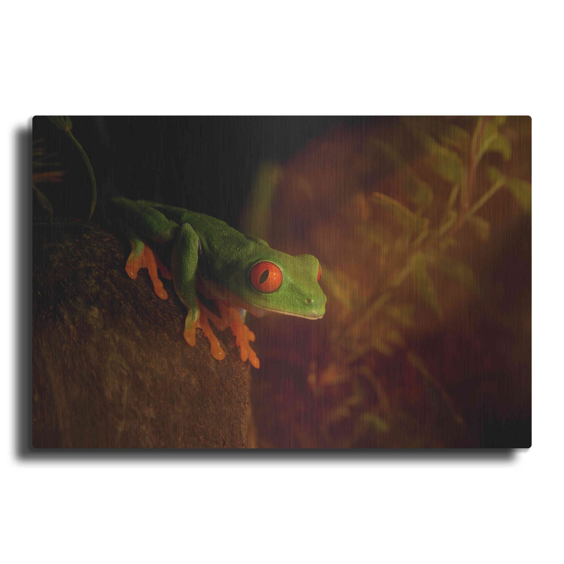 Luxe Metal Art 'Froggy' by Epic Portfolio Metal Wall Art
