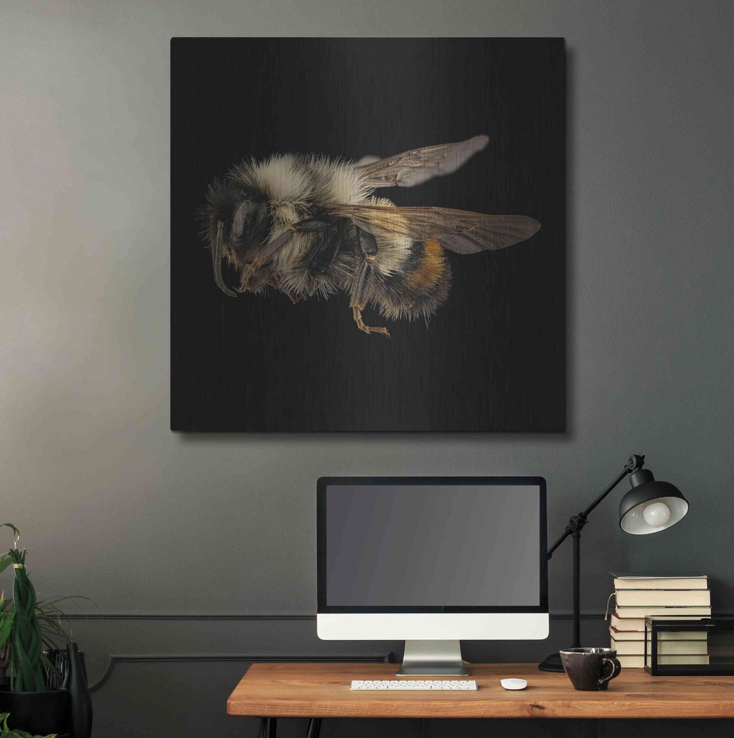 Luxe Metal Art 'Fuzzy Buzzy' by Epic Portfolio Metal Wall Art,36x36