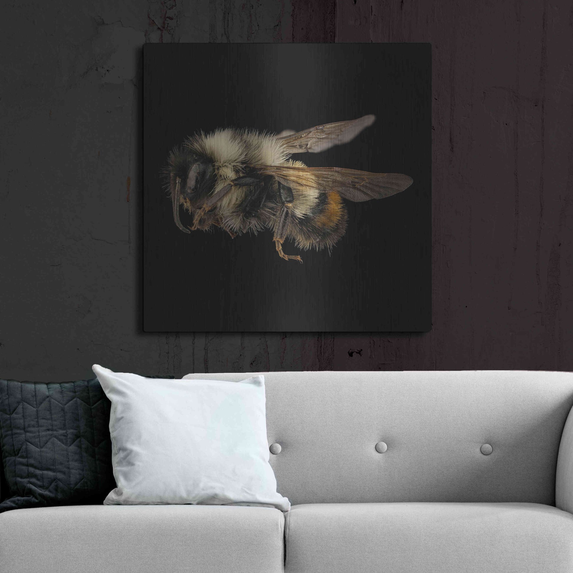 Luxe Metal Art 'Fuzzy Buzzy' by Epic Portfolio Metal Wall Art,36x36