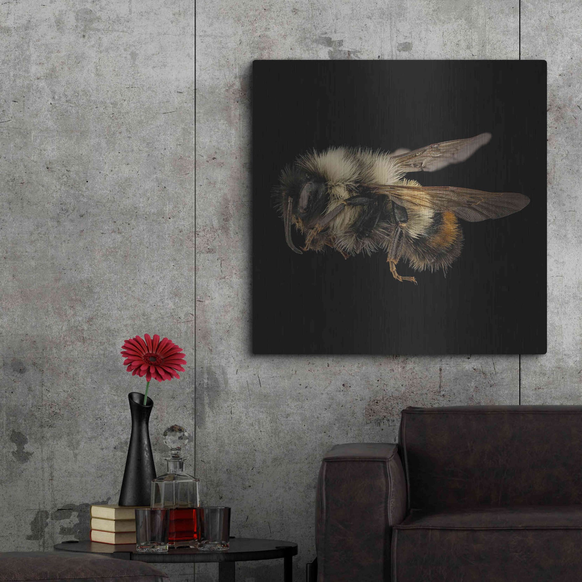 Luxe Metal Art 'Fuzzy Buzzy' by Epic Portfolio Metal Wall Art,36x36